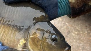 Dwa jeziora w Gostyninie zamknięte dla wędkarzy. Zakaz potrwa do końca listopada