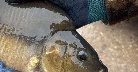 Dwa jeziora w Gostyninie zamknięte dla wędkarzy. Zakaz potrwa do końca listopada