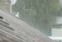 Śląskie. Stan po burzach, interwencje strażaków