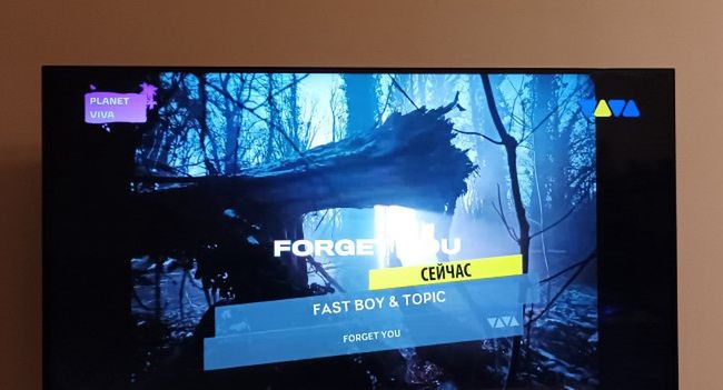 Dwa programy nawiązują do stacji Viva. „Legendarna telewizja”