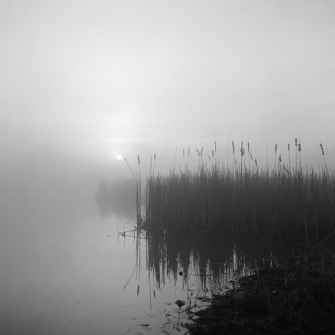 Polacy nagrodzeni w konkursie MonoVisions Photography Awards 2018 41