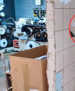 Przeszukali byłą ubojnię. Szokujące odkrycie, 9 osób zatrzymano