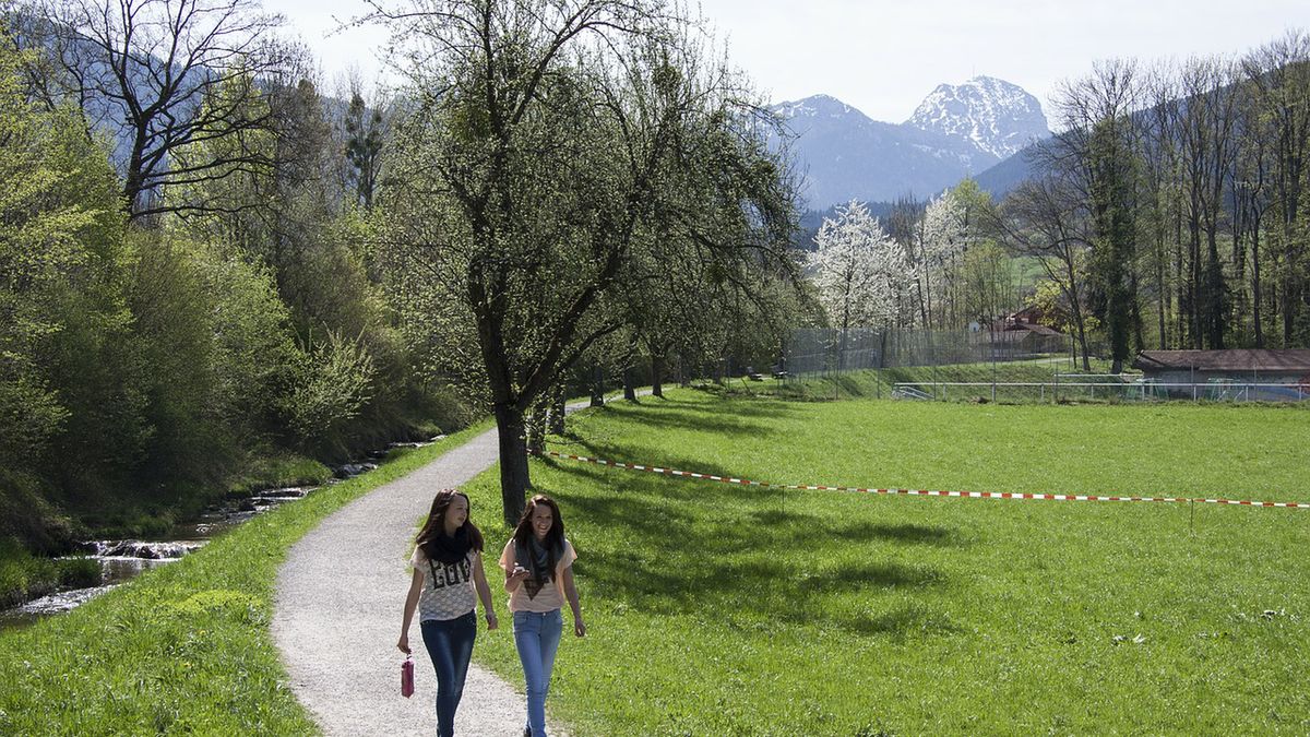 Spacer na odchudzanie