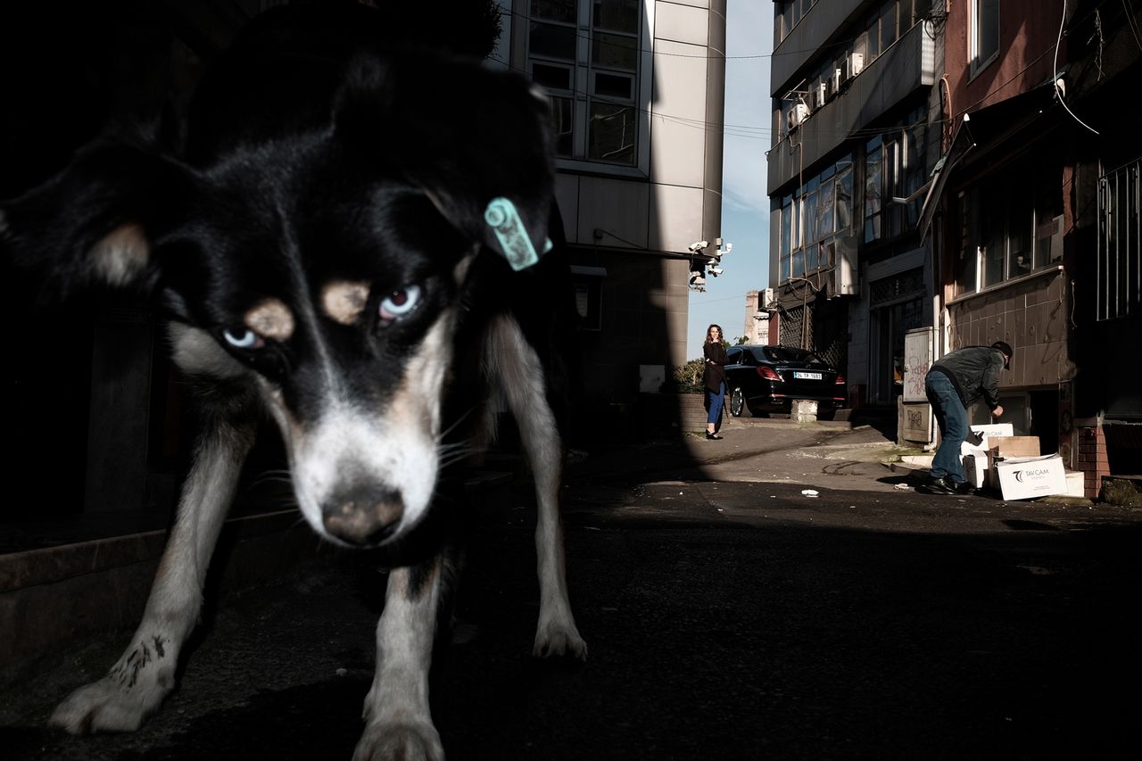 8. Leica Street Photo - znamy nazwiska najlepszych polskich "streetowców"