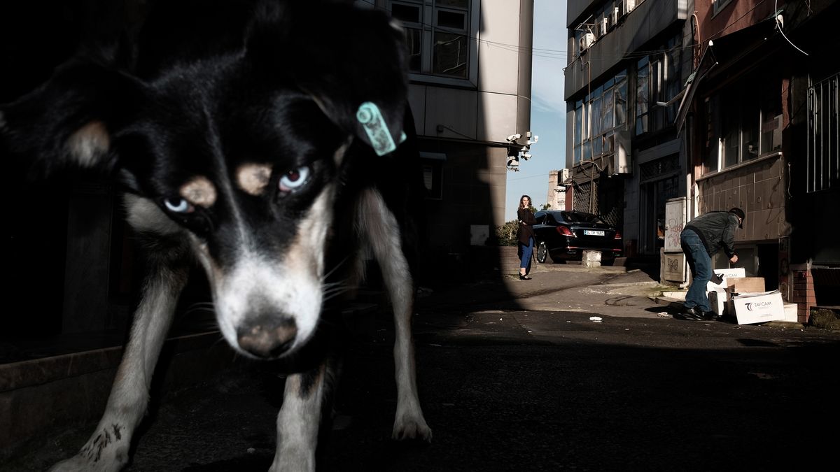 8. Leica Street Photo - znamy nazwiska najlepszych polskich "streetowców" 1