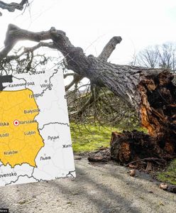 IMGW ostrzega. W Polsce znów wichury: "ekstremalnie niebezpieczna pogoda"