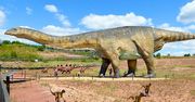 Ma aż 10 metrów wysokości. Największa rzeźba dinozaura znajduje się w Polsce