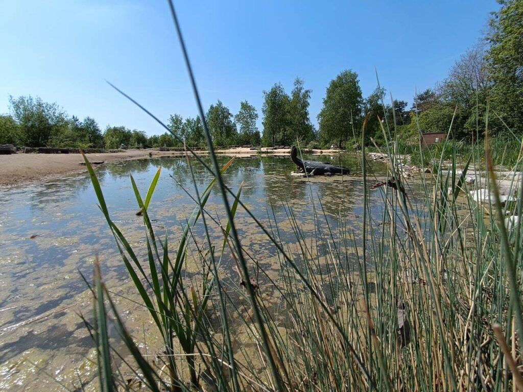 GEOsfera w Jaworznie