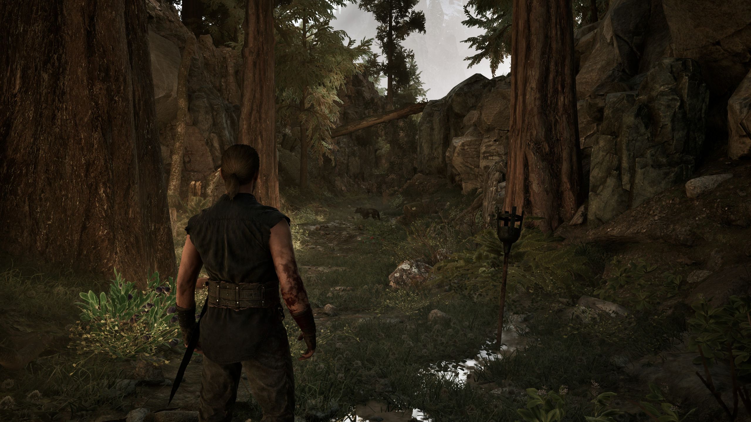 Gothic 1 Remake - Pierwsze spotkanie z wilkiem