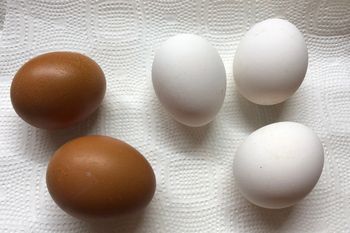 Tak gotuje jajka przed farbowaniem. Już po 10 minutach są śnieżnobiałe