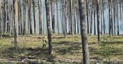 Józefów: Są dobre informacje z rejonu pożaru