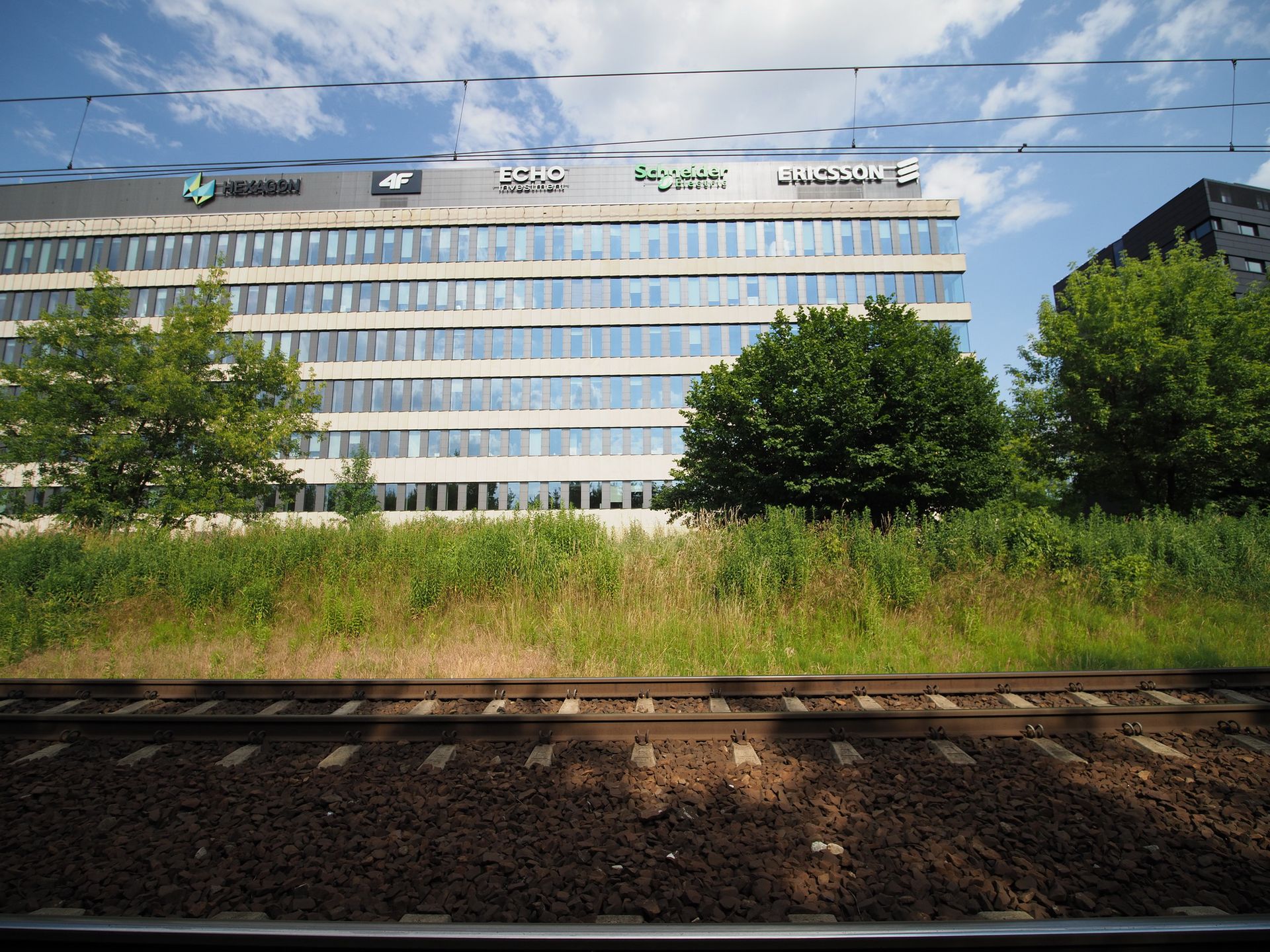 TEST: Perełka! Venus Laowa 7,5 mm f/2 MFT 11