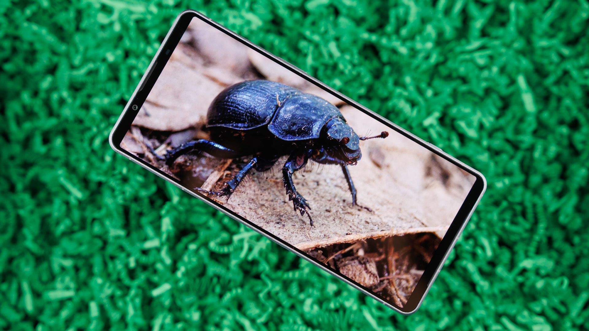 Zdjęcie na ekranie Sony Xperia 1 VIII.