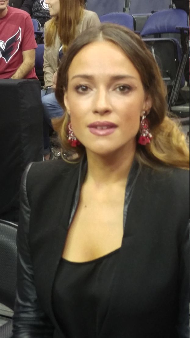 Obraz