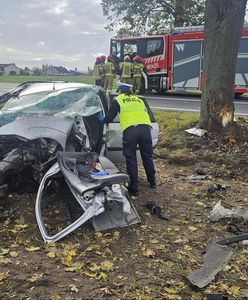 Wstrząsający obraz po wypadku. Z auta zostały strzępy