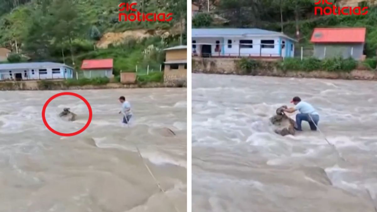 Uratował kota, któy znalazł się w opresji