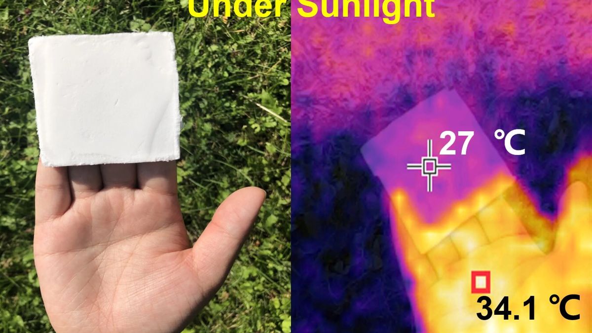 Pianka chłodząca z drewna. Zapewni pasywne chłodzenie budynków