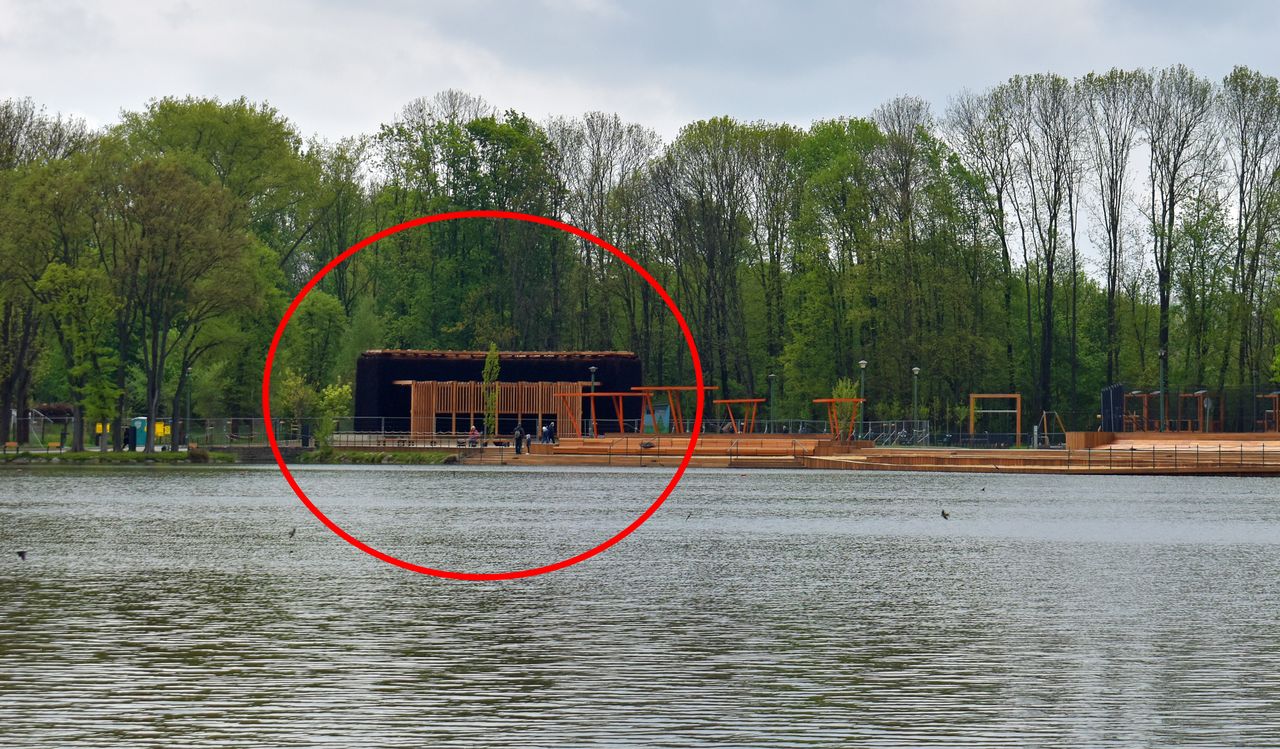 Wyrastają w Polsce jak grzyby po deszczu. "Sami sobie wprowadzają konia trojańskiego"