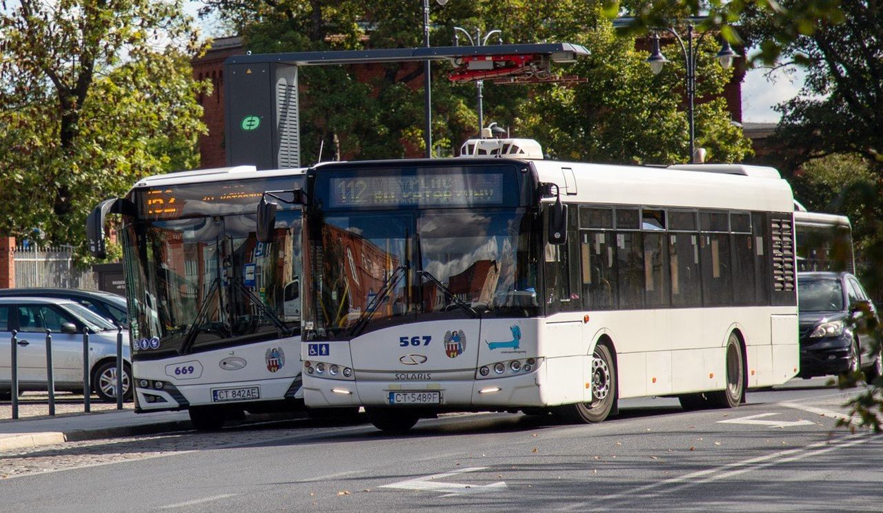Toruń: Wielkie liczenie pasażerów rozpoczęte