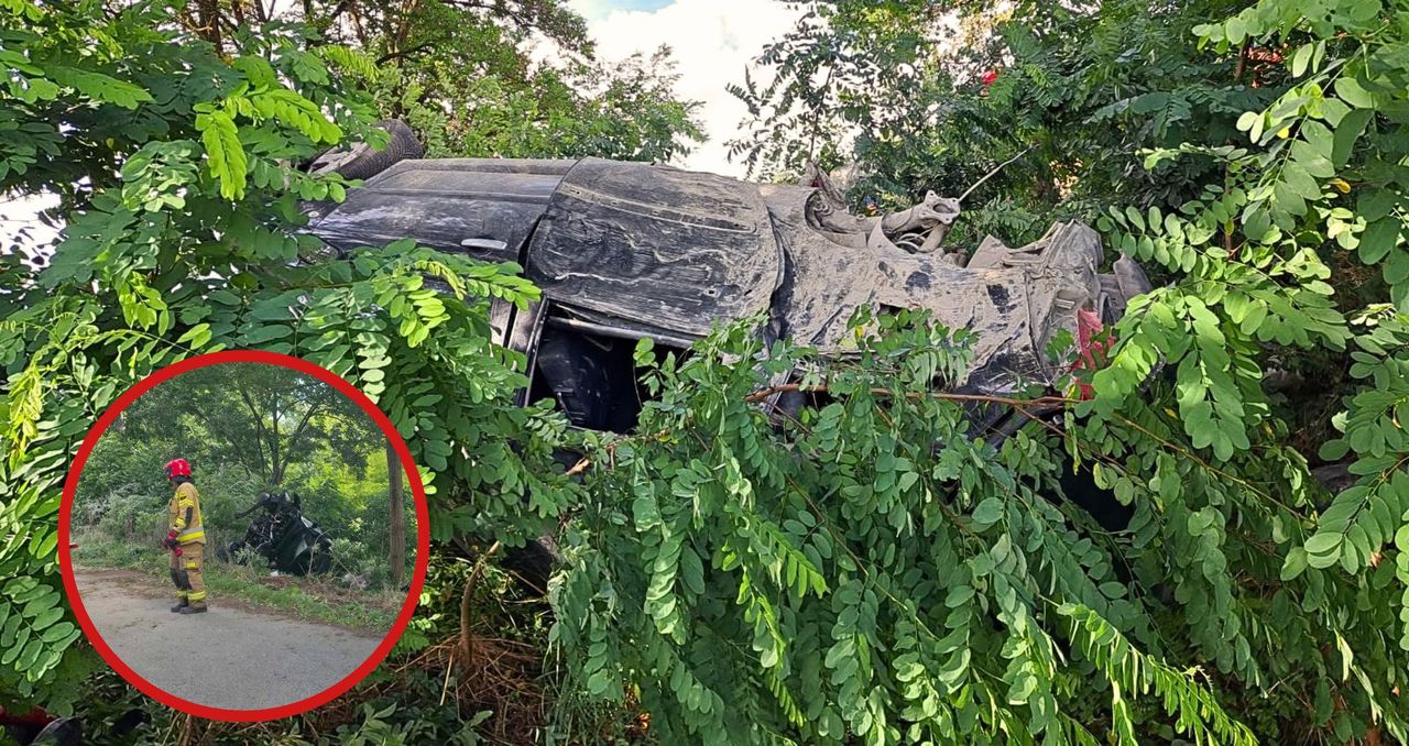 Peugeot uderzył w drzewo i dachował. Kierowca trafił do szpitala