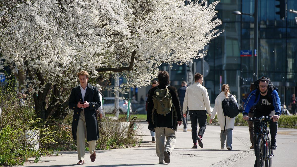 Rozlicz PIT i wygraj auto. Tak miasta walczą o podatników