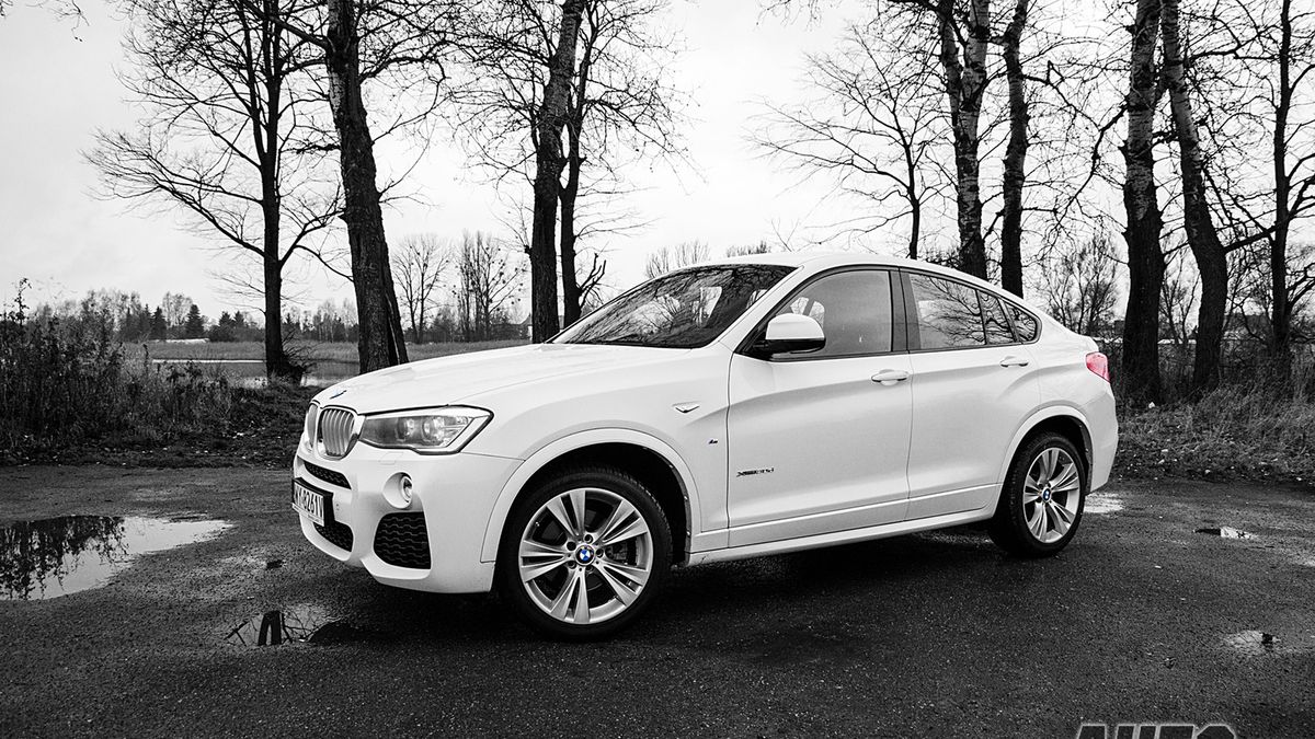 Zdjęcie ilustracyjne do artykułu