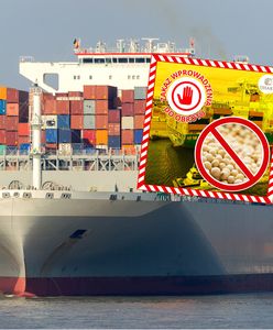 Żywność z Chin w rękach służb. Ogromny transport nie trafi na rynek