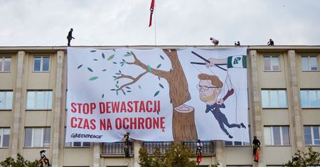 Greenpeace na gmachu resortu środowiska. Aktywiści sprzeciwiają się wycinkom drzew i krytykują ministra środowiska