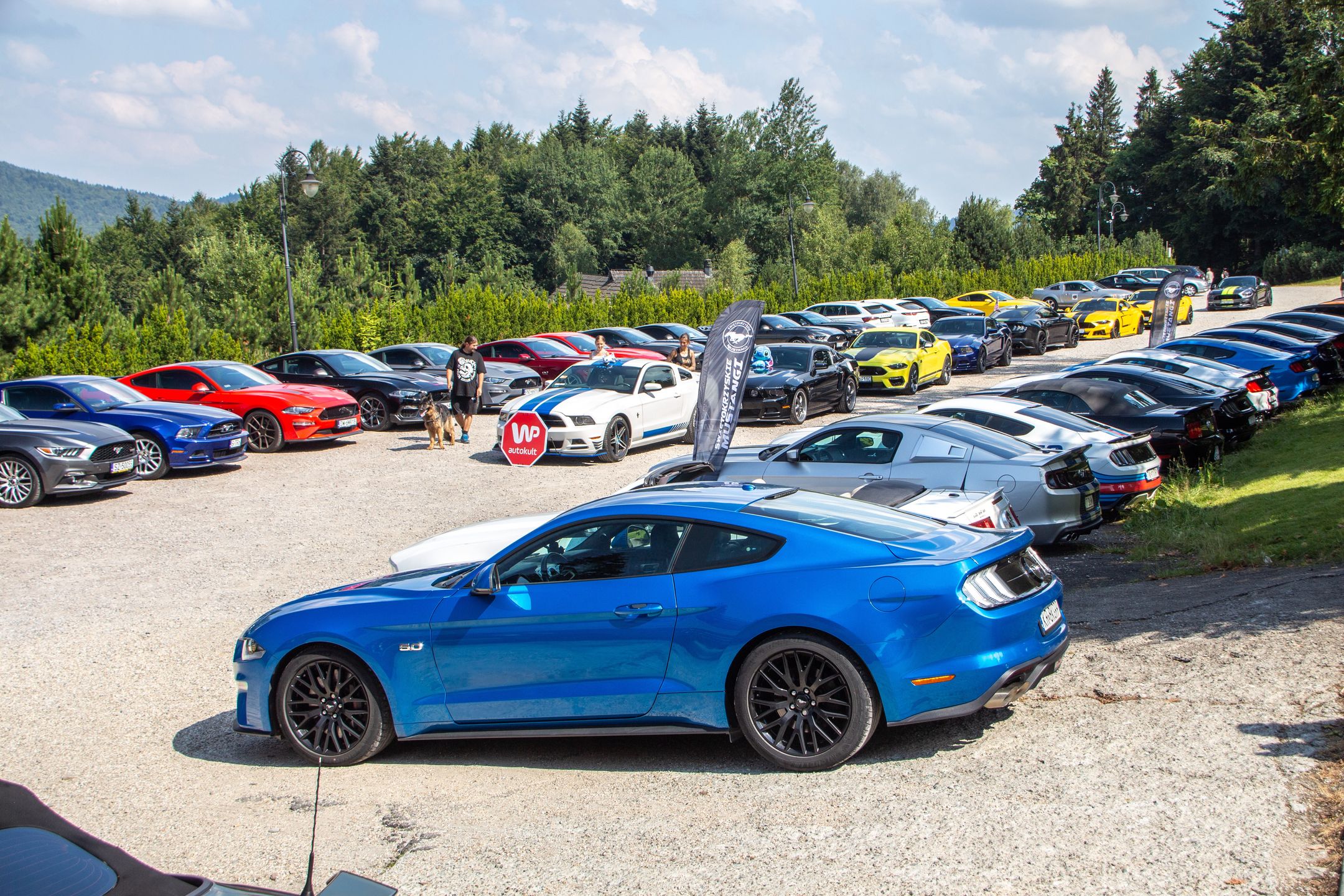Małopolski & Śląski Zlot Mustangów 2024