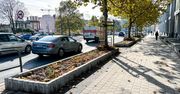 Poznań: Więcej zieleni w centrum. Chłodna i Głogowska mają nowy wygląd