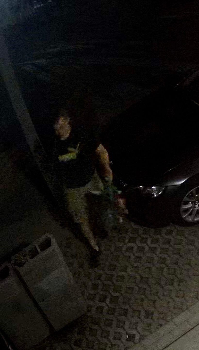 Ukradł doniczki z kwiatami sprzed dom