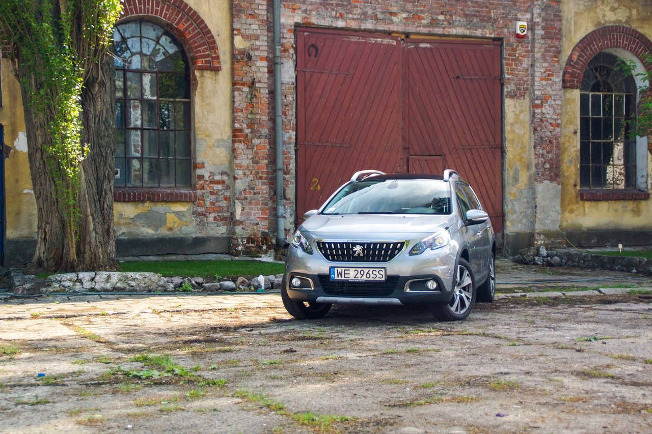 Peugeot 2008 Crossway: solidny kompan na wycieczkę. Gdyby tylko miał więcej polotu