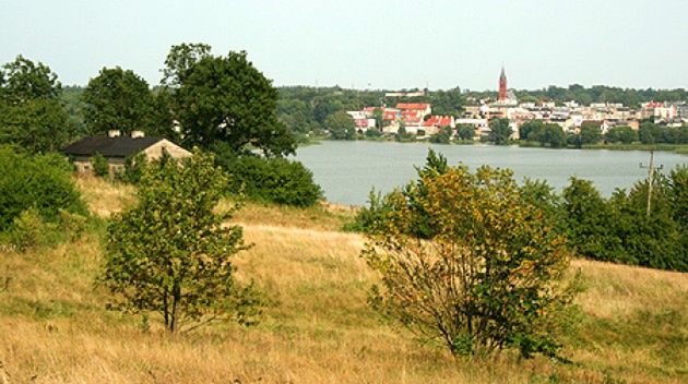 Obraz