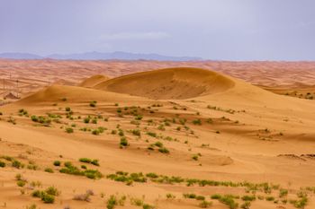 Rewolucja na pustyni. Pomysł brzmi jak scenariusz filmu science fiction