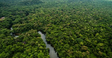 COP30 w Amazonii bez USA. Tematami: lasy deszczowe i prawa rdzennych ludów
