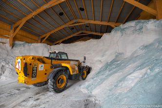 Nowy bilans "akcji zima". GDDKiA podała, ile ton soli wysypano na drogi