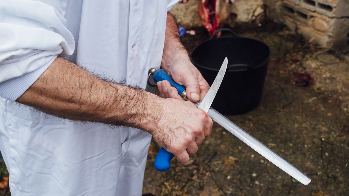 Zatrważające wyniki kontroli pomorskiej ubojni. Pracownicy mieli znęcać się nad zwierzętami