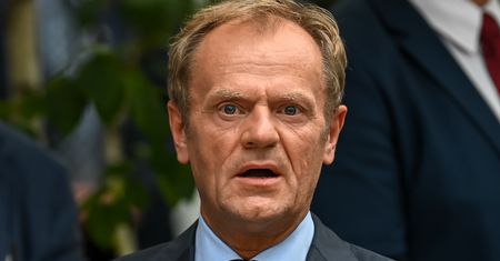 Franciszek Sterczewski o Donaldzie Tusku. Bogdan Zdrojewski poirytowany