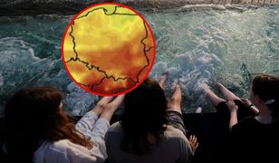 Nawet 30 stopni. IMGW wydało alerty