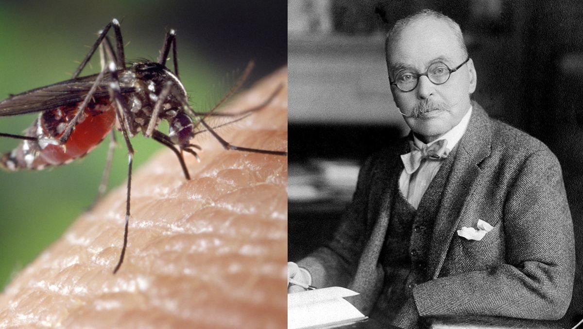Światowy Dzień Komara. Jak odkrycie jednego człowieka zmieniło świat?