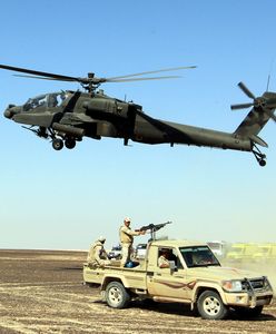 Egipt wysłał 40 tysięcy żołnierzy na Synaj. "Przygotowuje się do ochrony"