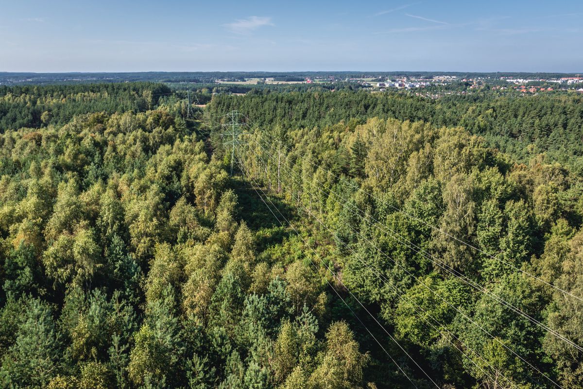 Trójmiasto należy do najbardziej zielonych metropolii w Polsce