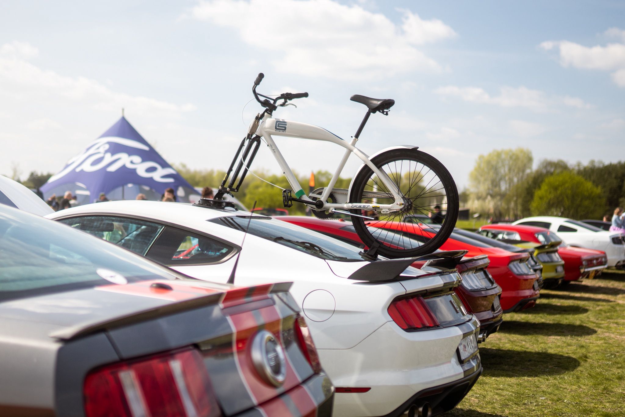Zlot Mustang Klub Polska 2024