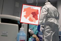 Coraz więcej zakażeń w Polsce. "Błyskawiczny progres" nowego wariantu
