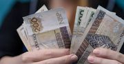 Bochnia: Burmistrz miasta rozdała rekordową kwotę 800 tys. zł dla dwunastu klubów sportowych