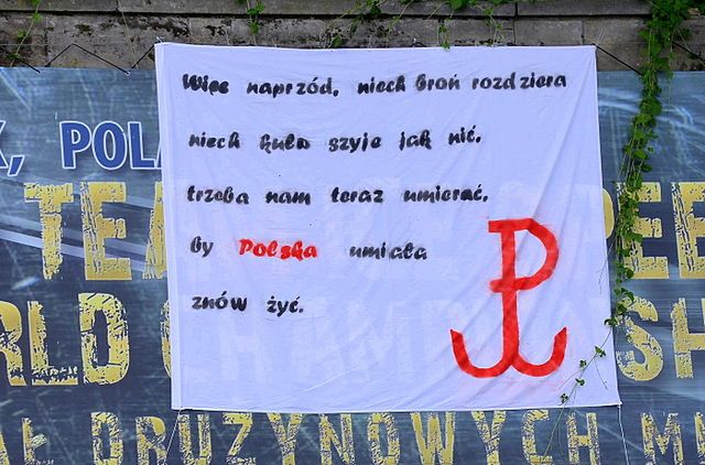 Polscy gracze przywłaszczyli “Polskę Walczącą”. Kim wy jesteście, żeby z tego symbolu korzystać?! 5