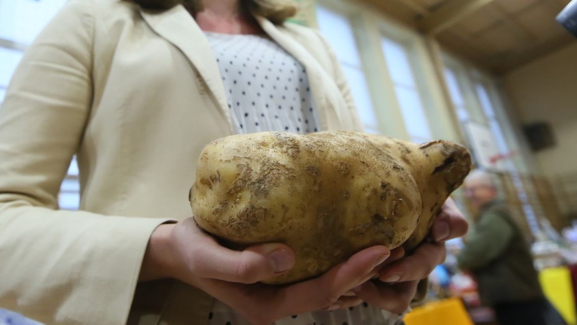 Wyłoniono zwycięzcę konkursu na największą pyrę w Wielkopolsce 