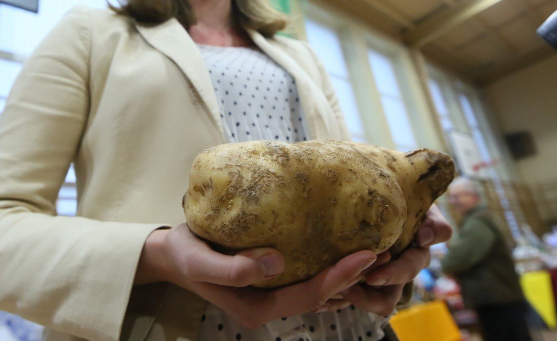 Największa pyra w Polsce. Ale bulwa!