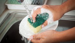 Kolory mają znaczenie i to duże. Oto tajemnice gąbek do mycia