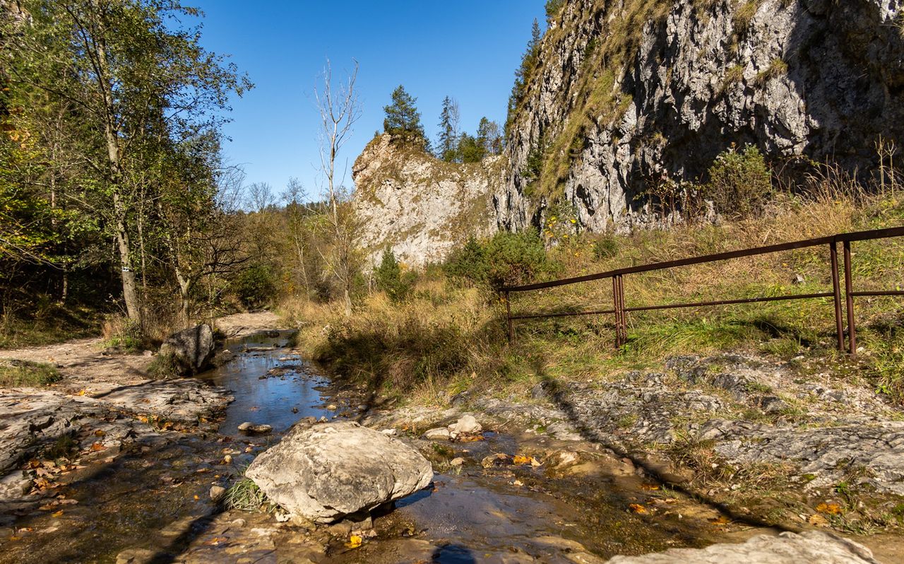 Wąwóz Homole – Rezerwat Przyrody i Perła Małych Pienin